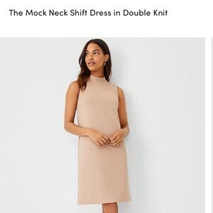 NWOT Ann Taylor Mock Neck Dress (Size 2)